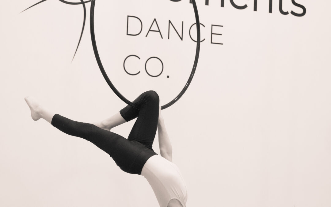 Aerial Arts Home Rigging Setup: Christmas Edition